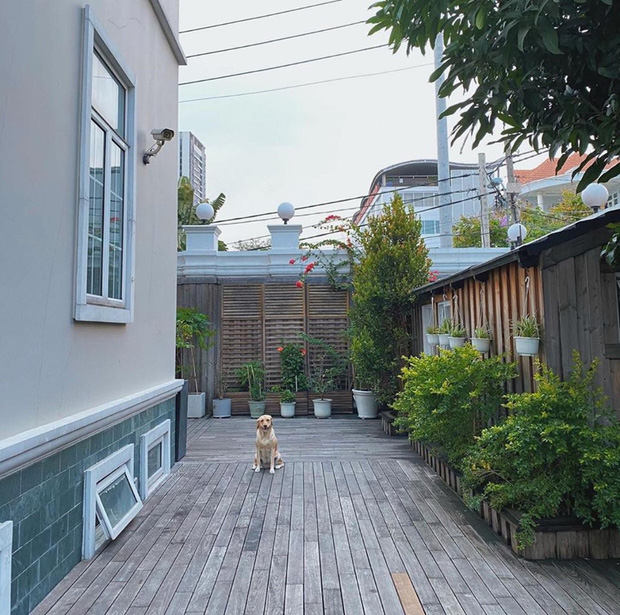 L&agrave;m vợ đại gia nhưng H&agrave; Tăng lại c&oacute; sở th&iacute;ch cực giản dị: S&aacute;ng ra chăm bẵm khu vườn nhỏ rồi ngắm th&agrave;nh quả l&agrave; đủ vui! - Ảnh 6.