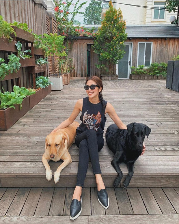 L&agrave;m vợ đại gia nhưng H&agrave; Tăng lại c&oacute; sở th&iacute;ch cực giản dị: S&aacute;ng ra chăm bẵm khu vườn nhỏ rồi ngắm th&agrave;nh quả l&agrave; đủ vui! - Ảnh 7.