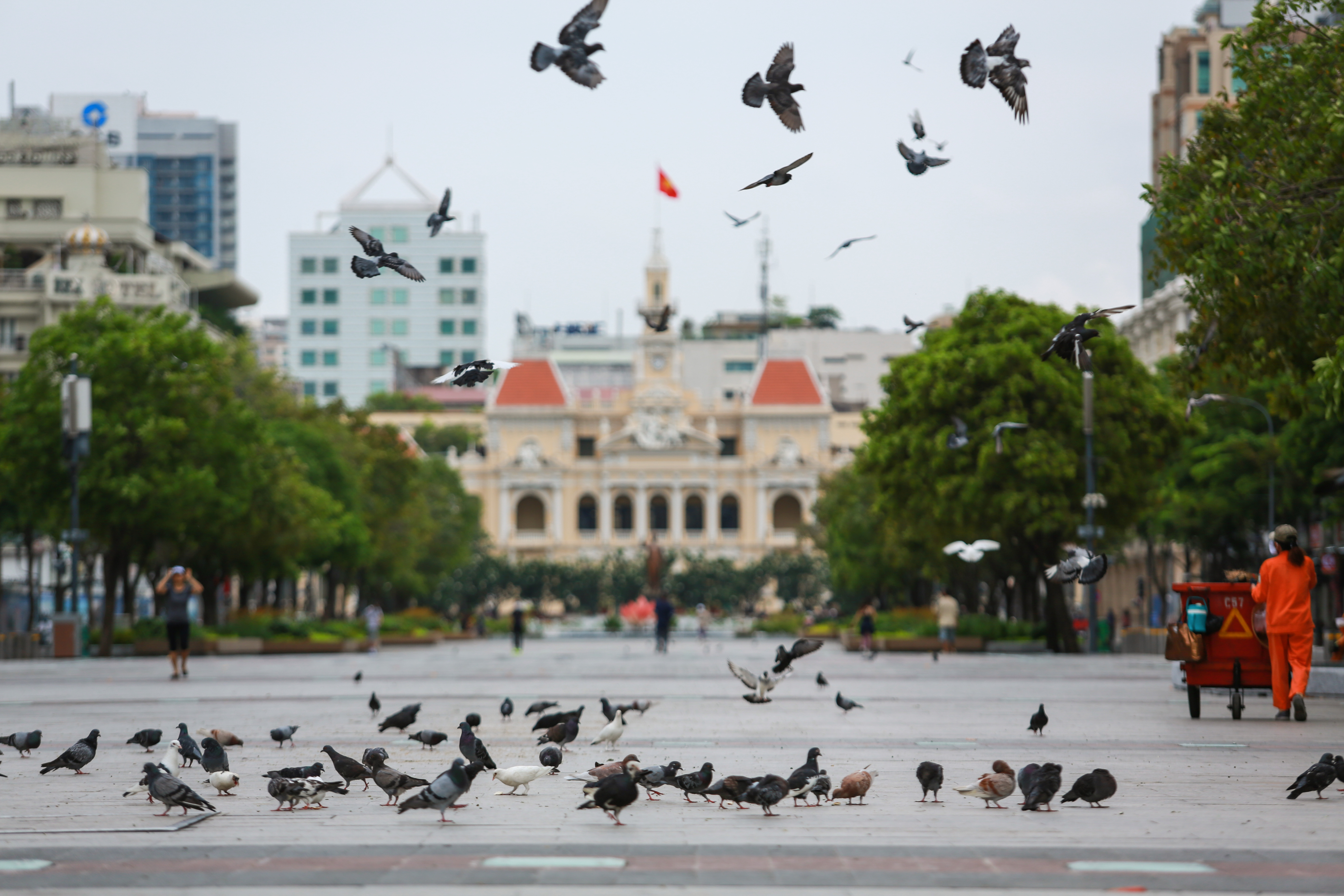 Ngắm Sài Gòn đẹp và yên bình trước thời điểm cách ly toàn xã hội trong 15 ngày - Ảnh 1.