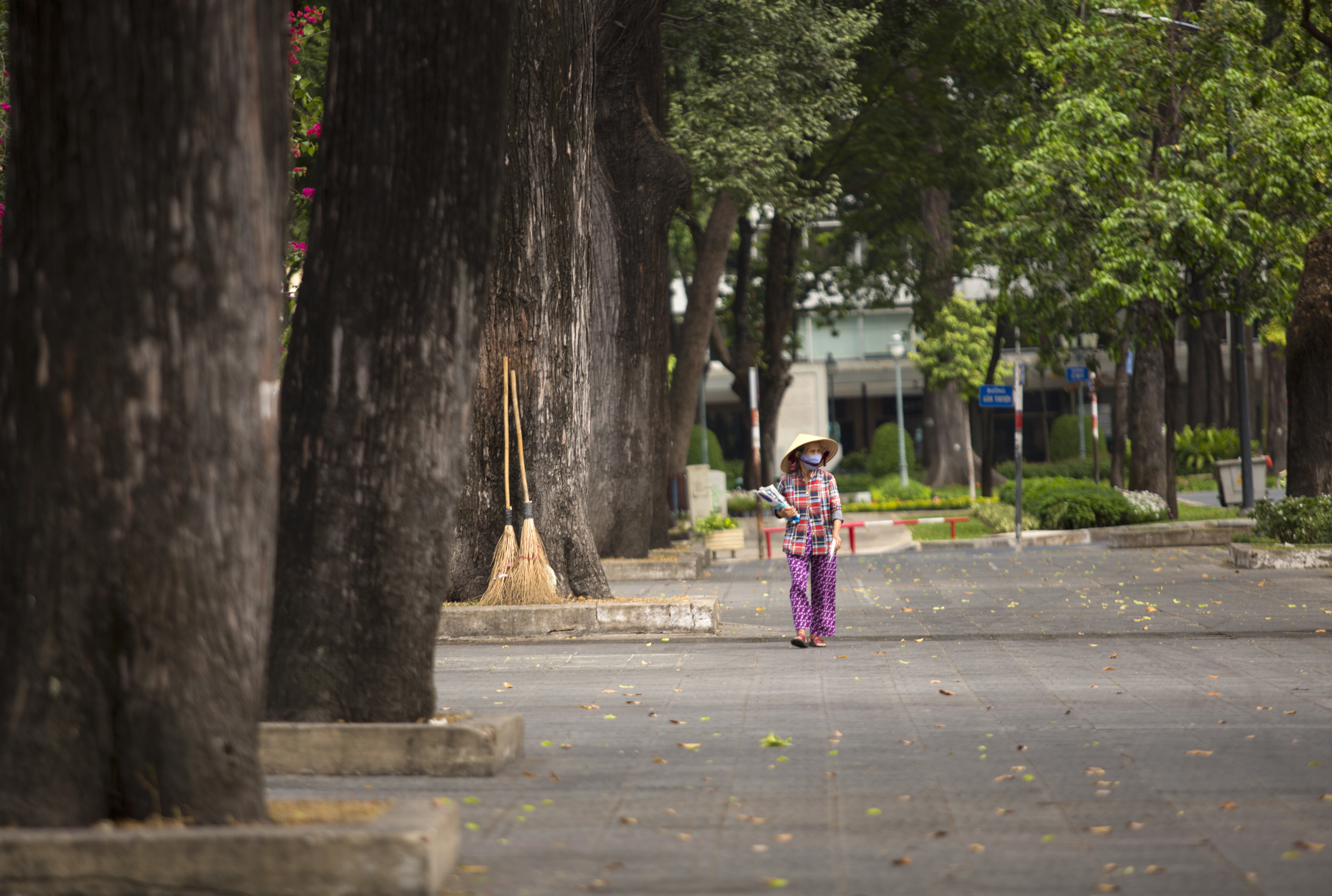 Ngắm Sài Gòn đẹp và yên bình trước thời điểm cách ly toàn xã hội trong 15 ngày - Ảnh 8.