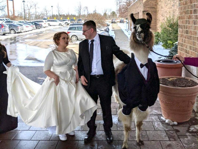 Cô dâu trưng bộ mặt khó chịu ngay trong bức hình duy nhất chụp chung với anh trai trong ngày cưới vì khách mời đặc biệt kế bên - Ảnh 2.