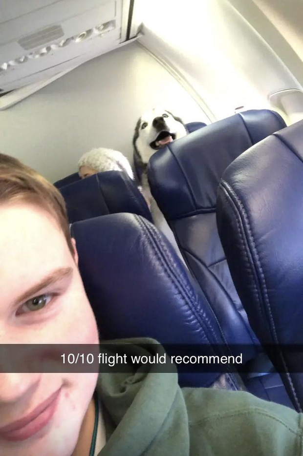 Những hình ảnh độc lạ nhất trên máy bay mà các hành khách từng chụp được: Dám cá là bạn chưa thấy quá nửa! - Ảnh 6.