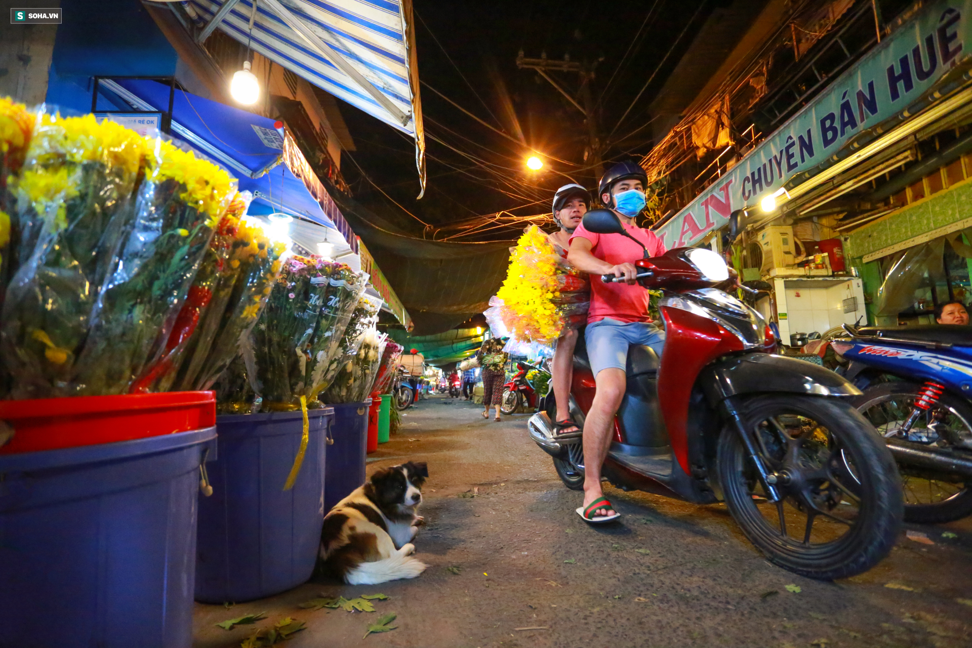 Chợ hoa 30 năm không ngủ ở Sài Gòn nhộn nhịp lúc 2 giờ sáng đón ngày 8/3 - Ảnh 2.
