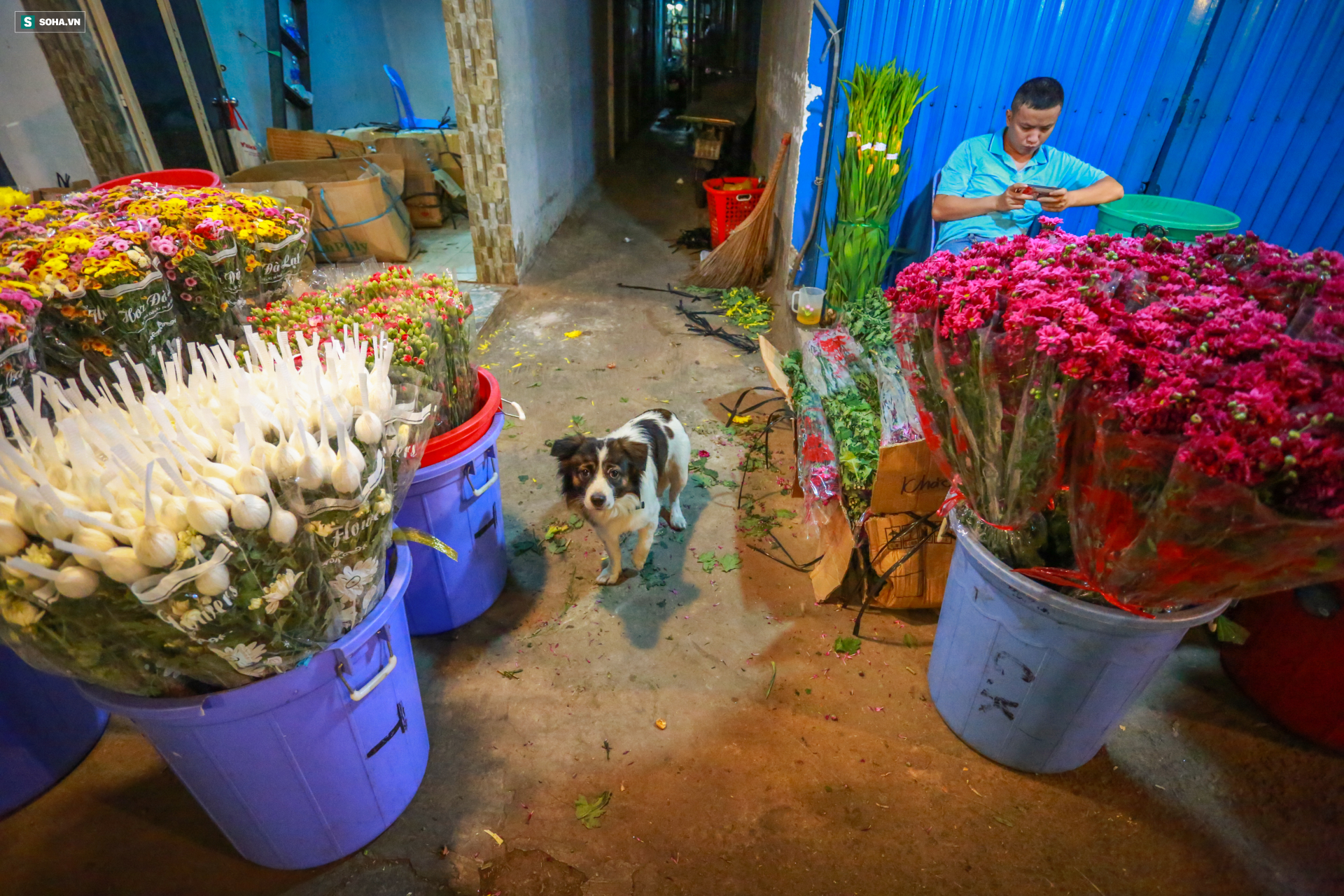Chợ hoa 30 năm không ngủ ở Sài Gòn nhộn nhịp lúc 2 giờ sáng đón ngày 8/3 - Ảnh 7.