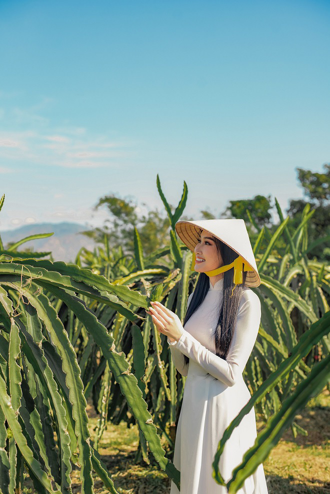 Đoàn Hồng Trang chính thức được cấp phép thi Miss Eco International 2020 - Ảnh 9.