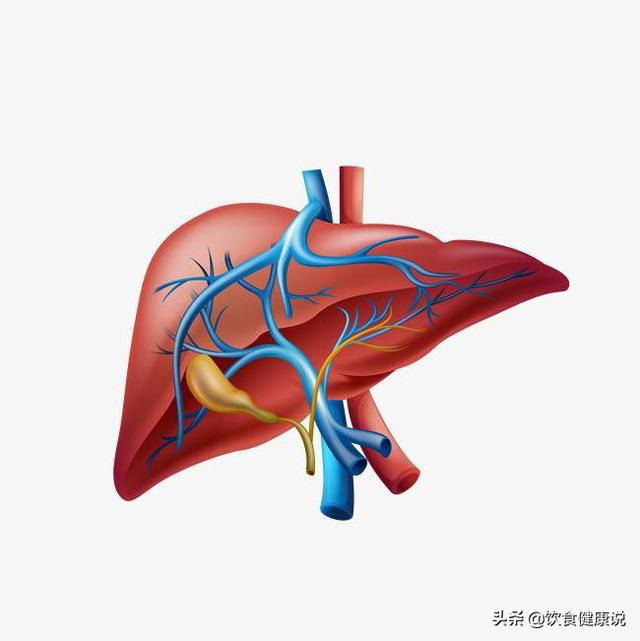 5 bộ phận cơ thể càng mềm thì càng khỏe: Đây là cách để bạn làm mềm chúng hàng ngày - Ảnh 2.