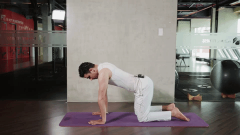Tăng cường sức đề kháng vào mùa dịch Covid-19: Những bài tập yoga không thể bỏ qua được chuyên gia bật mí - Ảnh 9.