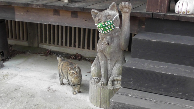 Ngôi đền đặc biệt ở Nhật Bản được mệnh danh là Đền Mèo, trụ trì tự tay làm khẩu trang cho hàng trăm chú mèo gỗ từ tã lót trẻ em - Ảnh 6.