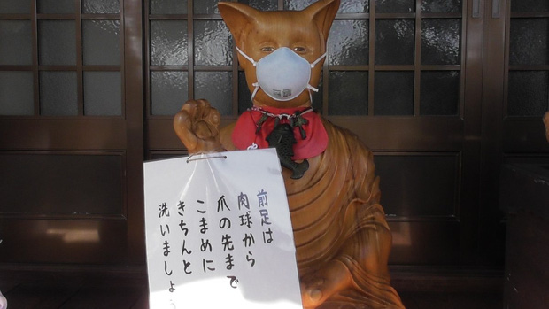 Ngôi đền đặc biệt ở Nhật Bản được mệnh danh là Đền Mèo, trụ trì tự tay làm khẩu trang cho hàng trăm chú mèo gỗ từ tã lót trẻ em - Ảnh 9.