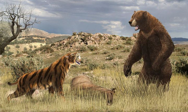 5 loài động vật thời tiền sử chuyên săn lùng tổ tiên của chúng ta - Ảnh 5.