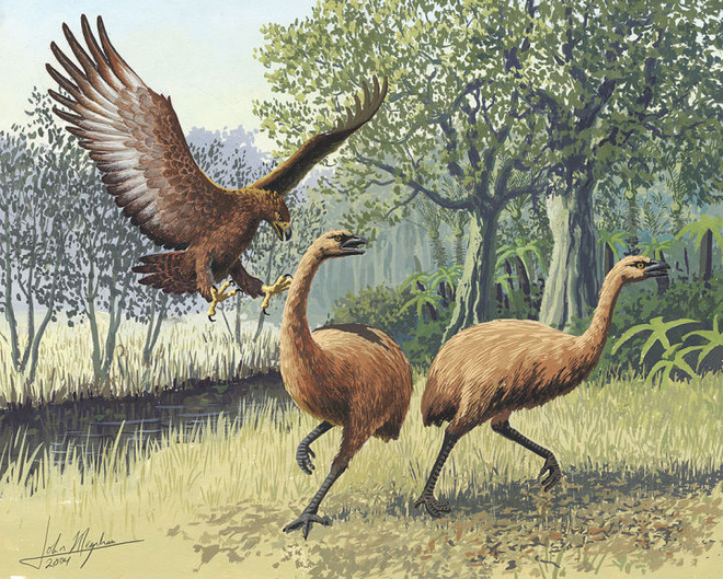 5 loài động vật thời tiền sử chuyên săn lùng tổ tiên của chúng ta - Ảnh 6.