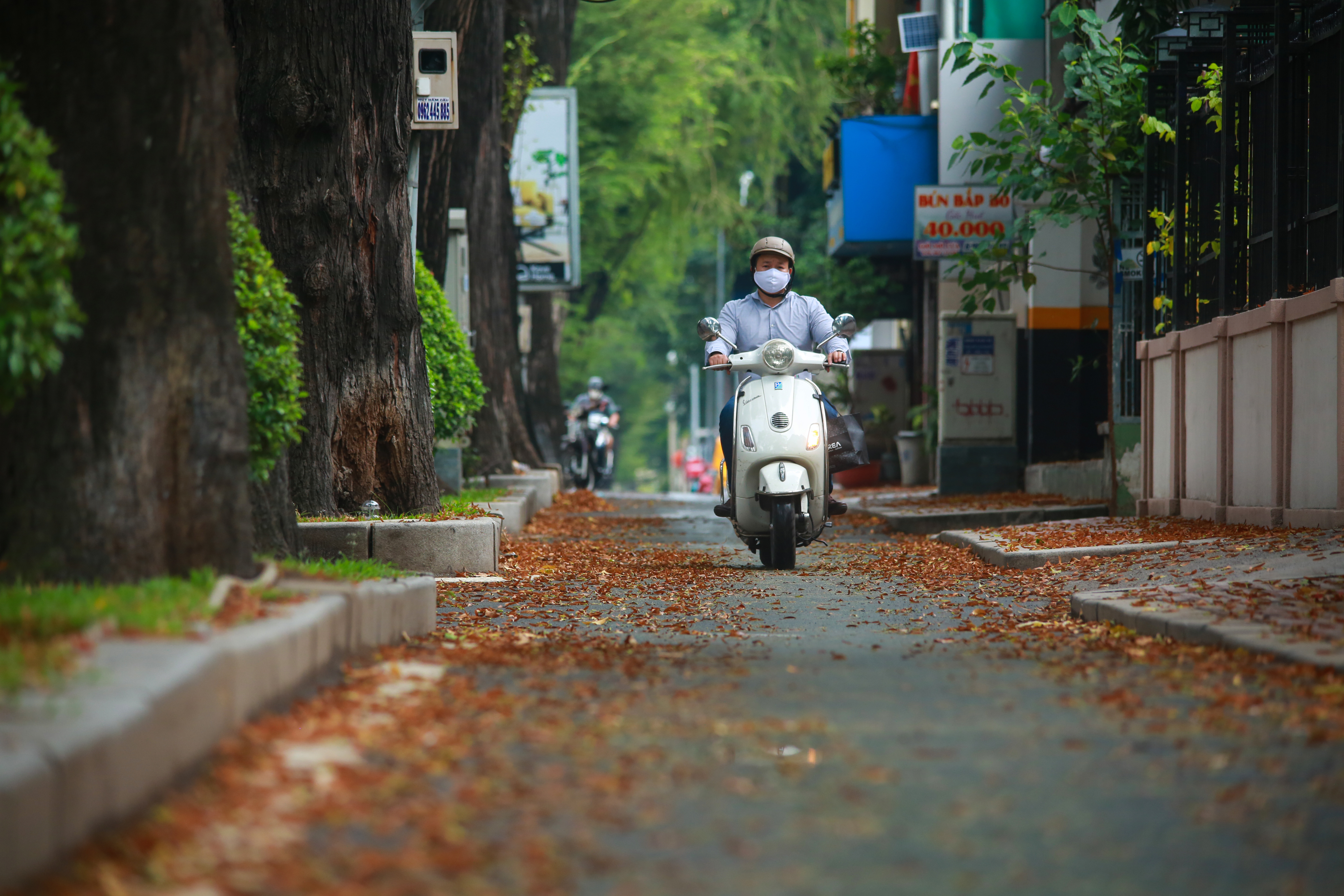 Sài Gòn đẹp xao xuyến trong mùa hoa chong chóng - Ảnh 6.