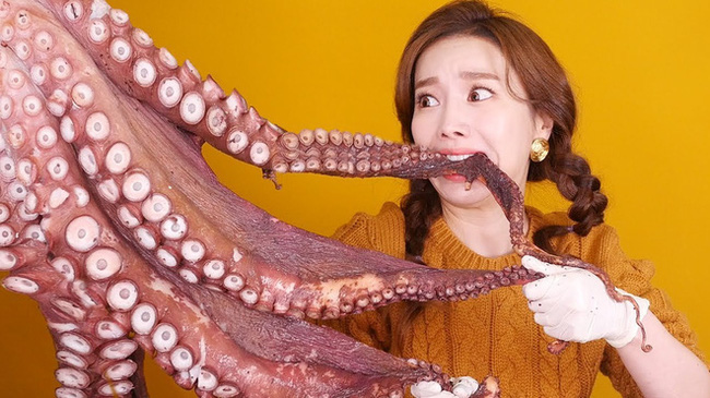 Đăng clip ăn nguyên con bạch tuộc sống, nữ YouTuber sở hữu 3,5 triệu lượt theo dõi gây phẫn nộ cộng đồng mạng, có người đòi xóa luôn tài khoản - Ảnh 2.