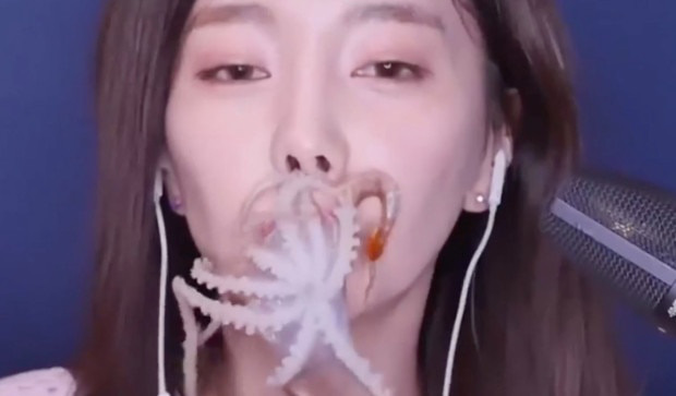 Đăng clip ăn nguyên con bạch tuộc sống, nữ YouTuber sở hữu 3,5 triệu lượt theo dõi gây phẫn nộ cộng đồng mạng, có người đòi xóa luôn tài khoản - Ảnh 6.
