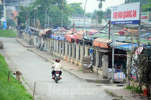 Chợ hoa lớn nhất Hà Nội đóng cửa chuyển sang bán hàng trực tuyến - Ảnh 6.
