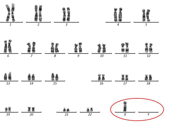 4 năm chạy chữa vô sinh, người đàn ông chết lặng khi biết nguyên nhân không thể có con - Ảnh 2.