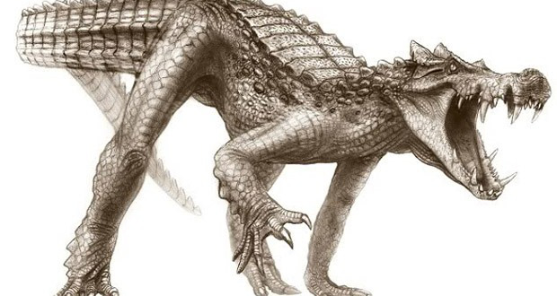 Top 10 sinh vật siêu khổng lồ thời tiền sử dễ bị nhầm thành khủng long - Ảnh 1.