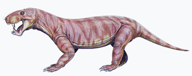 Top 10 sinh vật siêu khổng lồ thời tiền sử dễ bị nhầm thành khủng long - Ảnh 8.
