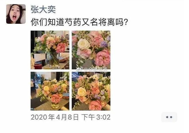 Đào mộ quá khứ của hotgirl vướng nghi án cặp kè với chủ tịch Taobao đã có vợ: Hơn 1 năm chưa có bạn trai nhưng lại muốn sinh con vào tháng 3 - Ảnh 5.
