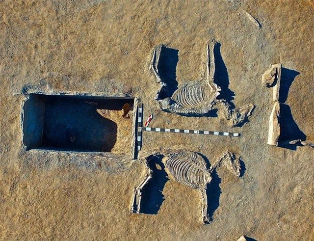 Giải mã bí ẩn về xác đôi tình nhân nằm cạnh nhau trong mộ cổ suốt 5.000 năm - Ảnh 2.