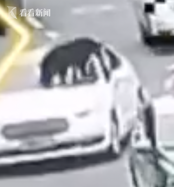 Người đi đường hoảng hồn khi chứng kiến chú chó đứng trên nóc xe hơi đang chạy, lời khai của người chủ khiến cảnh sát cũng không thể hiểu nổi - Ảnh 3.