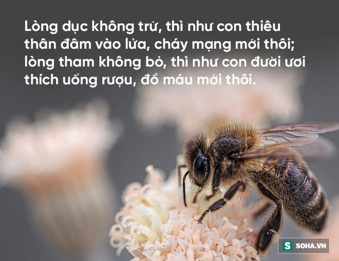 3 con tiểu yêu tìm cách hủy hoại người nông dân, chỉ 1 con thành công: Cách làm của nó cảnh tỉnh rất nhiều người! - Ảnh 6.