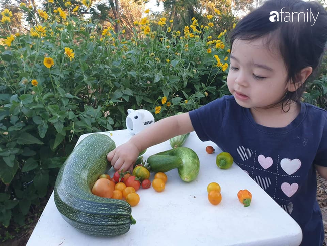 Truy tìm cô bé 2 tuổi đội nón lá bán rau dưa thu hút cộng đồng mạng và cái kết bất ngờ - Ảnh 12.