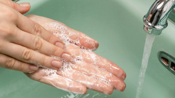 Cách lau tay tốt nhất để ngăn ngừa lây nhiễm virus là gì? - Ảnh 1.