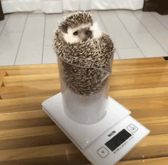 15 khoảnh khắc khiến kẻ tôn thờ sự hoàn hảo sung sướng tột cùng - Ảnh 1. 15 khoảnh khắc khiến kẻ tôn thờ sự hoàn hảo sung sướng tột cùng - Ảnh 1.