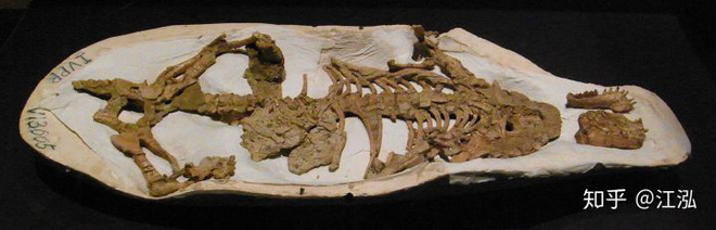 Tại sao không có động vật có vú khổng lồ trong kỷ nguyên khủng long? - Ảnh 4.