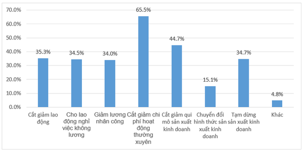 Nếu dịch Covid-19 kéo dài hết tháng 6, chỉ còn 15% DN duy trì hoạt động - Ảnh 2.