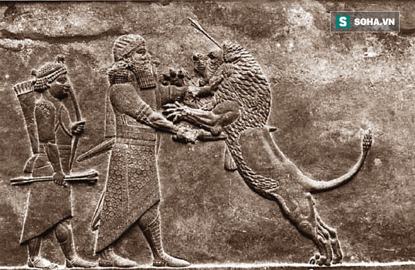 Sức mạnh khủng khiếp của ch&oacute; ngao Nam Phi: Đột ph&aacute; v&ograve;ng v&acirc;y, giải cứu Alexander Đại đế - Ảnh 2.