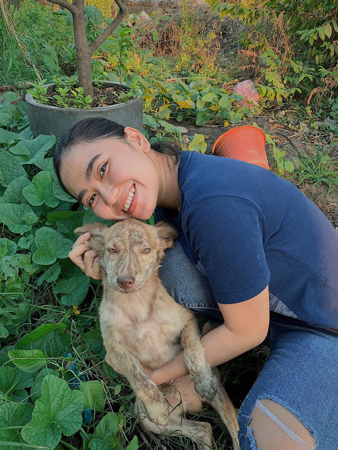 Cô nhân viên văn phòng nuôi đàn chó ta 9 con: Ai cũng bảo chó cỏ không đẹp không được cưng, thì tui cưng!” - Ảnh 5.