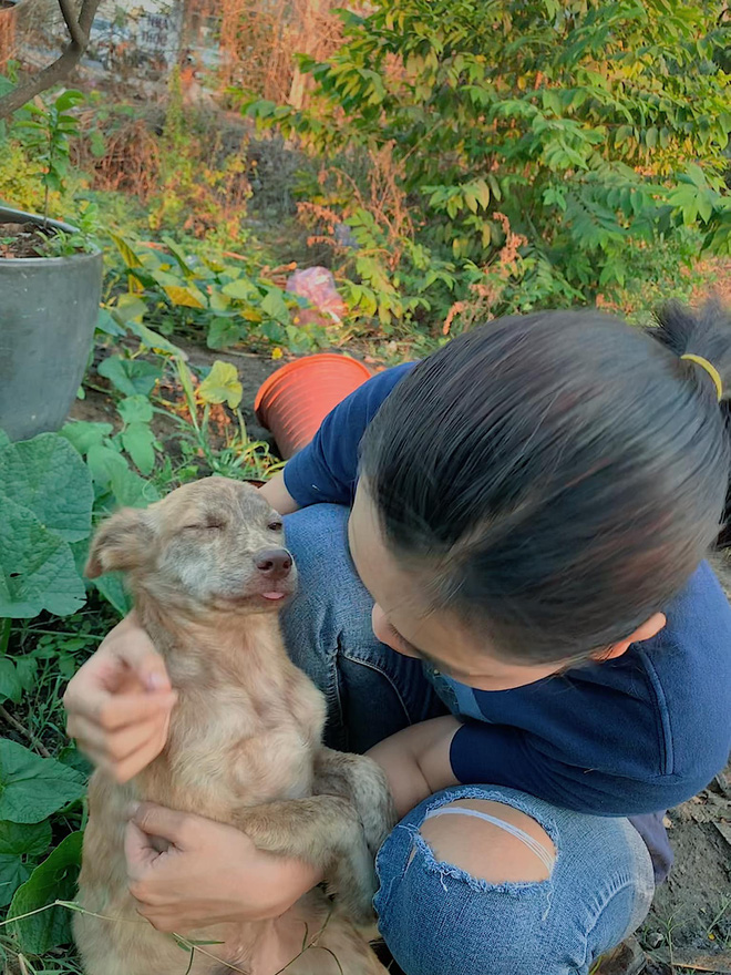 Cô nhân viên văn phòng nuôi đàn chó ta 9 con: Ai cũng bảo chó cỏ không đẹp không được cưng, thì tui cưng!” - Ảnh 6.