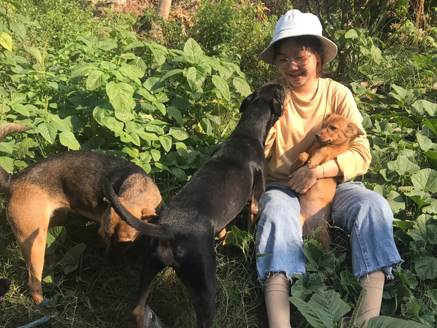 Cô nhân viên văn phòng nuôi đàn chó ta 9 con: Ai cũng bảo chó cỏ không đẹp không được cưng, thì tui cưng!” - Ảnh 9.