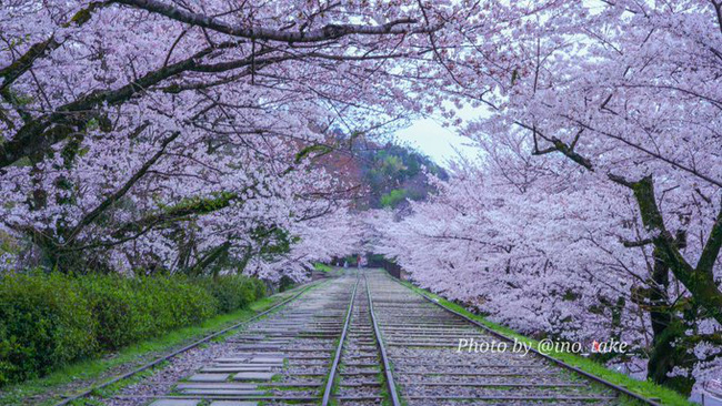 Sự thật buồn về đường ray tình yêu nổi tiếng Nhật Bản: Tưởng chung đường nhưng lại chia đôi ngả - Ảnh 2.