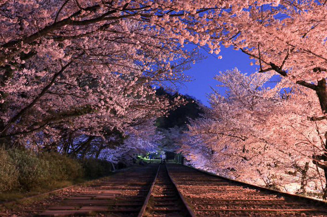 Sự thật buồn về đường ray tình yêu nổi tiếng Nhật Bản: Tưởng chung đường nhưng lại chia đôi ngả - Ảnh 3.