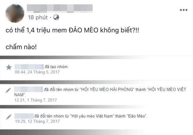 Đảo Mèo - group có đến hơn 2 triệu thành viên nổi tiếng nhất nhì MXH về thú cưng bất ngờ biến mất, xôn xao tin dàn admin bị tố bóc lột thú cưng, lừa đảo quyên góp? - Ảnh 1.