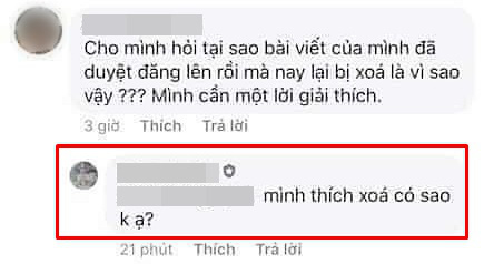 Đảo Mèo - group có đến hơn 2 triệu thành viên nổi tiếng nhất nhì MXH về thú cưng bất ngờ biến mất, xôn xao tin dàn admin bị tố bóc lột thú cưng, lừa đảo quyên góp? - Ảnh 17.