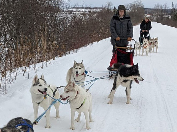 Cô gái sử dụng đàn chó kéo xe trượt tuyết để giao hàng cho người cao tuổi, giúp họ khỏi phải ra ngoài mua sắm - Ảnh 6.