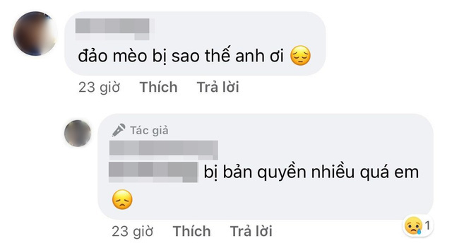 Đảo Mèo - group có đến hơn 2 triệu thành viên nổi tiếng nhất nhì MXH về thú cưng bất ngờ biến mất, xôn xao tin dàn admin bị tố bóc lột thú cưng, lừa đảo quyên góp? - Ảnh 6.