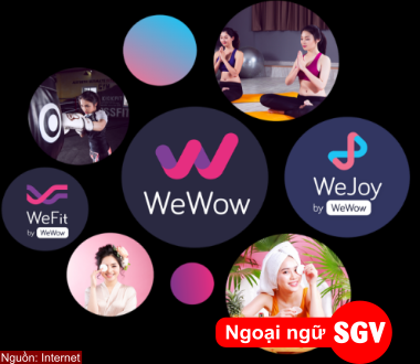 Cạn kiệt vốn, Wefit - startup tiên phong trong lĩnh vực fitness chính thức tuyên bố phá sản - Ảnh 1.