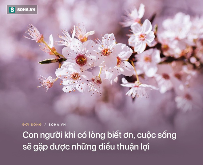 Tặng cậu học trò tự ti 1 lời khen, 5 năm sau, cô giáo nhận được món quà vô cùng ý nghĩa - Ảnh 6.