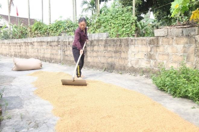  Người nghèo Hà Tĩnh bác tin bị ép buộc, khẳng định tự nguyện nhường tiền hỗ trợ  - Ảnh 2.