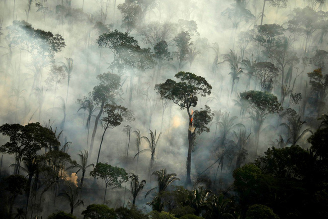 Rừng Amazon vẫn đang cháy ngày càng dữ dội hơn: 1.202 km2 rừng bị xóa sổ trong 4 tháng, ngang bằng diện tích một quốc gia - Ảnh 1.