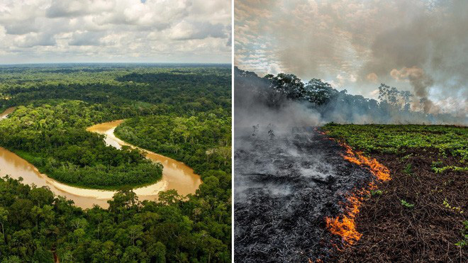 Rừng Amazon vẫn đang cháy ngày càng dữ dội hơn: 1.202 km2 rừng bị xóa sổ trong 4 tháng, ngang bằng diện tích một quốc gia - Ảnh 2.