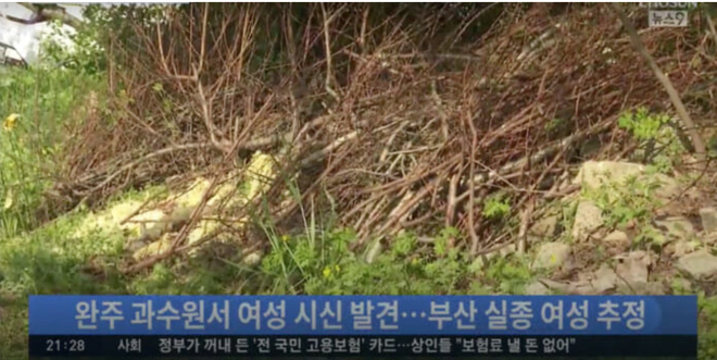 Hàn Quốc: Phát hiện thi thể người phụ nữ mất tích gần 1 tháng, có dấu hiệu cho thấy nghi phạm là kẻ giết người hàng loạt - Ảnh 3.