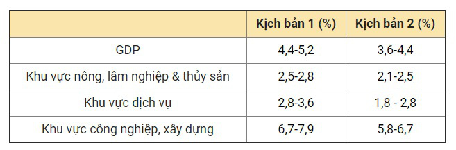 Chính phủ đề xuất hạ mục tiêu tăng trưởng kinh tế năm nay vì Covid-19 - Ảnh 3.