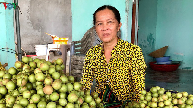 Những vườn dâu chín rụng nhưng chưa có thương lái tìm mua - Ảnh 12.