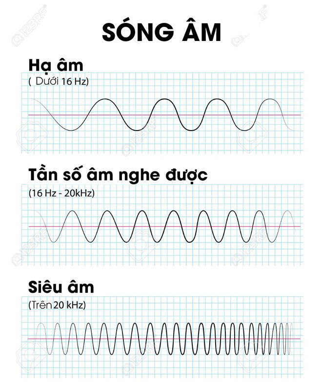 Kỹ thuật siêu âm mới có thể tiêu diệt tế bào ung thư dựa trên hiệu ứng sóng dừng - Ảnh 2.